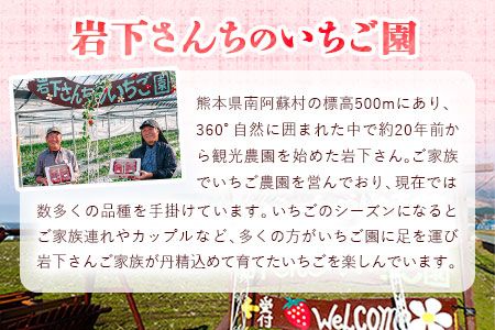南阿蘇岩下さんちのいちご園 オリジナルミルフィーユアイス 2000ml 《60日以内に出荷予定(土日祝を除く)》 熊本県南阿蘇村 苺 イチゴ アイスミルク---isms_fiwmfyais_60d_r7_16500_2l---