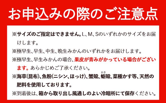 【先行予約】みかん 田村 みかん 秀品 5kg サイズ指定なし 株式会社とち亀物産《11月下旬-1月中旬頃出荷》和歌山県 日高町 フルーツ くだもの 果物 柑橘 旬 ノーワックス 送料無料 紀伊国屋文左衛門本舗 蜜柑 ミカン オレンジ---wsh_tktmikan_h111_22_19000_5kg---