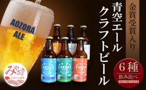 青空エールこだわりのクラフトビール飲み比べ詰め合わせセット〈フルーツビール入り〉6種×6本（330ml瓶×6本）_M170-001