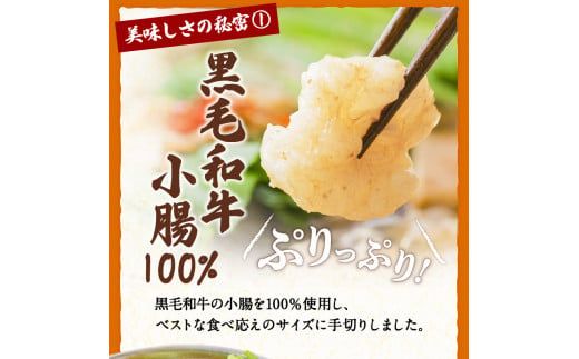 黒毛和牛もつ鍋セット2～3人前　K130-004