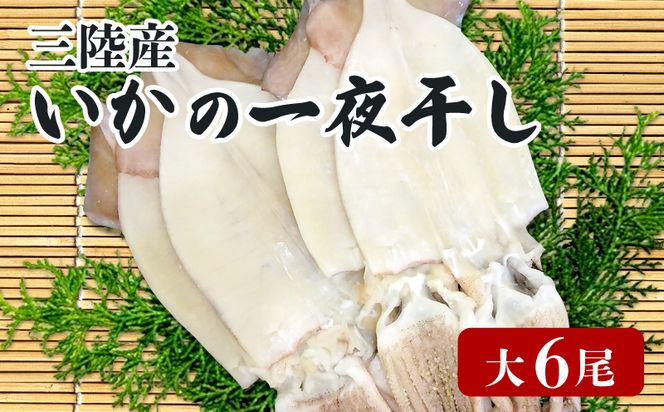 y茧Dnsz 銱  6  CJ G squid o[xL[ BBQ t tĂ [  ܂ ӎ CY CN   Dn O 茧 Y[56500390_4]