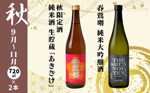 【定期便】春鶯囀　季節限定のお酒と純米大吟醸酒の2本セット＜年4回発送＞ 日本酒 地酒 山梨 富士川町