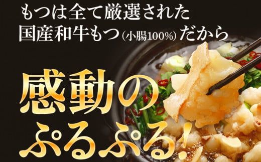 もつ鍋6人前 醤油味 6人前 醤油 醤油味 国産牛小腸 国産もつ モツ 鍋 お土産 美味しい 豪華 贅沢 福岡県 福岡 九州 グルメ お取り寄せ