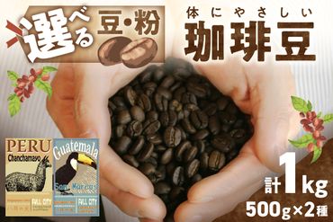 【栽培期間中農薬不使用】自家焙煎コーヒー豆　飲み比べセット（500g×2種）約100杯分　八月の犬　珈琲豆　ドリップ