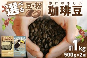 【栽培期間中農薬不使用】自家焙煎コーヒー豆　飲み比べセット（500g×2種）約100杯分　八月の犬　珈琲豆　ドリップ　飲料 珈琲 こーひー コーヒー coffee HA00003