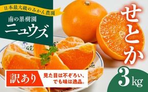 【先行予約受付中】産地直送！愛媛県産せとか（訳あり） 3kg ※2025年2月下旬～3月下旬頃に順次発送予定 ≪柑橘 みかん ギフト≫