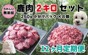 【12回定期便】 森のジビエ for PET 鹿肉 2kg ペットフード 犬 猫 A-JK-D01A