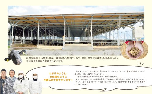 A-09 瀬戸の姫（焼肉用）《45日以内に出荷予定(土日祝除く)》