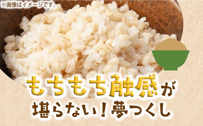 【令和6年産新米】【先行予約】ひかりファーム の 夢つくし - 玄米 - 10kg【2024年10月以降順次発送】《築上町》【ひかりファーム】[ABAV009]