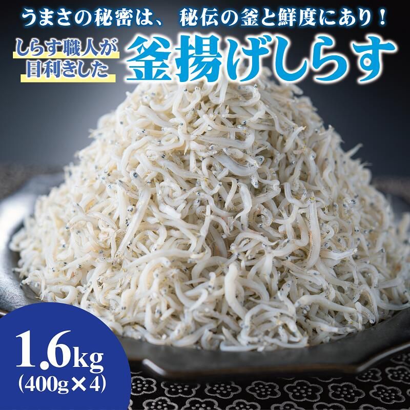 535.しらす職人が目利きした「釜揚げしらす」1.6kg(A-535-1)