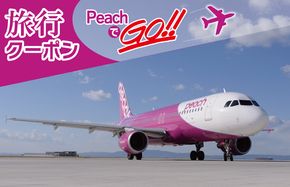 050F082 PeachでGo！！（泉佐野市内宿泊編）旅行クーポン（15,000円分）