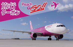 050F082 PeachでGo！！泉佐野市宿泊 旅行クーポン（15,000円分）【宿泊 旅行 ホテル トラベル】
