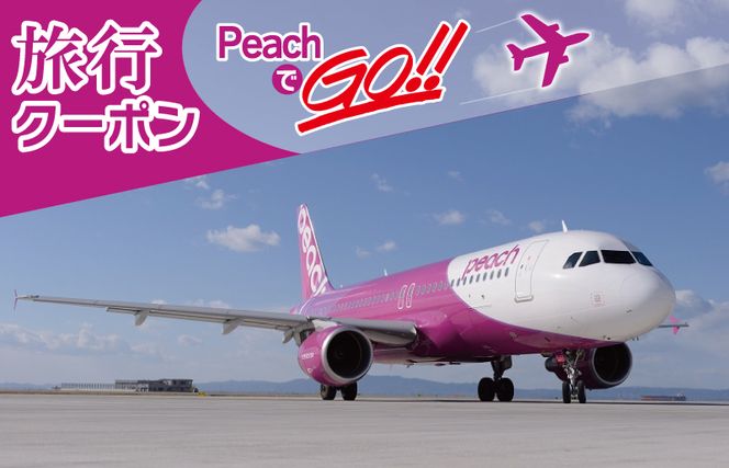 099H389 PeachでGo！！（泉佐野市内宿泊編）旅行クーポン（300,000円分）