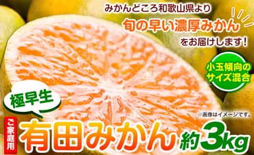 [先行予約]家庭用 極早生有田 みかん 3kg+90g(傷み補償分)[ YN26・ゆら早生 ][わけあり・訳あり]池田鹿蔵農園(池田農園株式会社)[2024年9月中旬-11月中旬頃出荷]和歌山県 日高町 みかん 有田みかん 完熟 厳選[配送不可地域あり]---wsh_idn41_9c11c_24_7000_3kg---