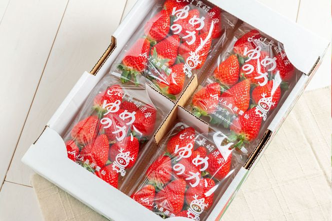 【期間限定発送】DE178 長崎県知事賞受賞【 厳選 いちご 】「 ゆめのか （2L～3L）」 260g × 4パック ＜1～4月にお届け＞
