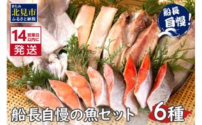 《14営業日以内に発送》船長自慢の海鮮セット ( 海鮮セット 海鮮 魚介類 ホッケ ナメタガレイ いか サーモン 鮭 時鮭 紅鮭 )【114-0025】