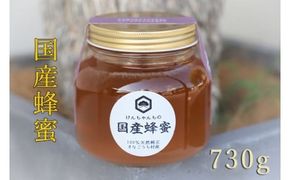 【CF】けんちゃんちのはちみつ（730g）大《30日以内に出荷予定（土日祝除く）》---tsm_mkf4_30d_25_12500_730g---