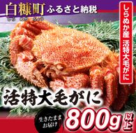 しらぬか産 活特大サイズ毛がに【800g以上】