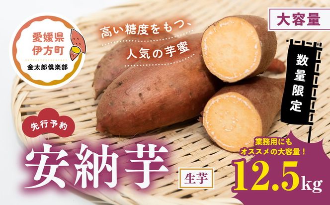【先行予約】【数量限定】安納芋 生芋（12.5kg）| 芋 さつまいも サツマイモ スイートポテト　※2024年12月上旬～2025年4月下旬頃に順次発送予定