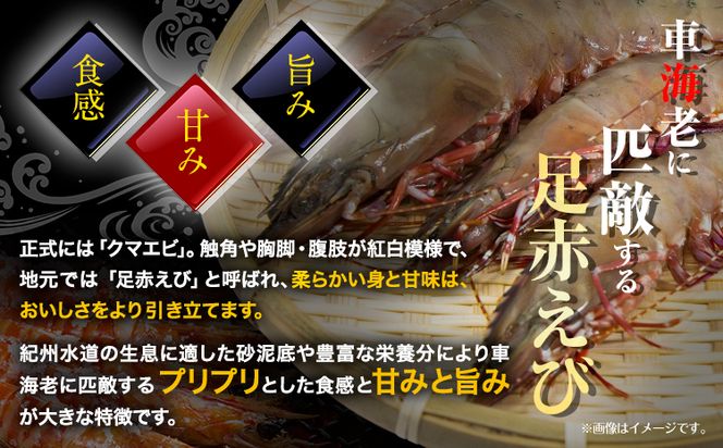 【先行予約】紀州和歌山産天然足赤えび 540g×2箱(270g×4パック) 化粧箱入 魚鶴商店《2025年11月上旬-2月上旬頃出荷》和歌山県 日高町 足赤えび えび エビ---wsh_fuot95_11j2j_25_35000_4p---