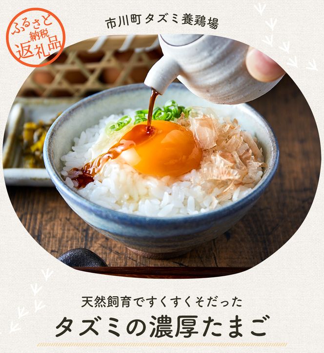 022AB01N.タズミの卵Ｍサイズ（30個×3か月）