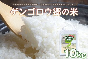 【先行予約】2023年産　京丹後産生物多様性米コシヒカリ「ゲンゴロウ郷の米」10kg箱入　CM00002
