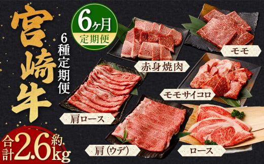 y{茧S璬z{苍 6 2.6kg{ɑ1ڔi12͒{jyc1181_yaz  Ef TCR [X Ԑg Xe[L