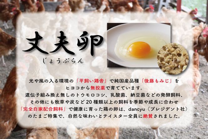 AQ006　高橋ファームの丈夫卵12個+紅カブトエビ白米2kg