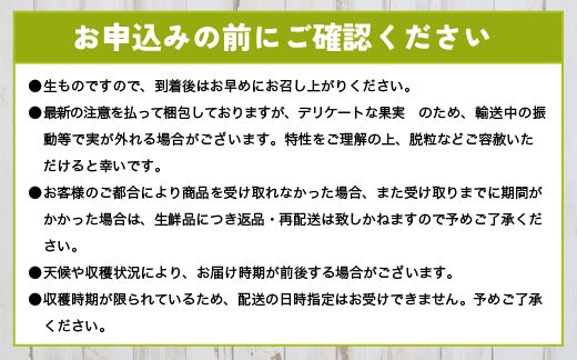 【早期予約】訳あり シャインマスカット 約2kg 樹熟 3～4房｜富山県産 マスカット ぶどう ブドウ 葡萄　※北海道・沖縄・離島への配送不可　※2024年10月上旬～12月下旬頃に順次発送予定