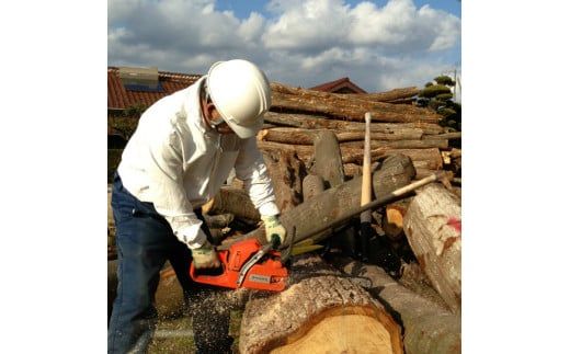 D209 薪ストーブ用・焚き火用の薪15㎏（広葉樹のミックス詰め合わせ）