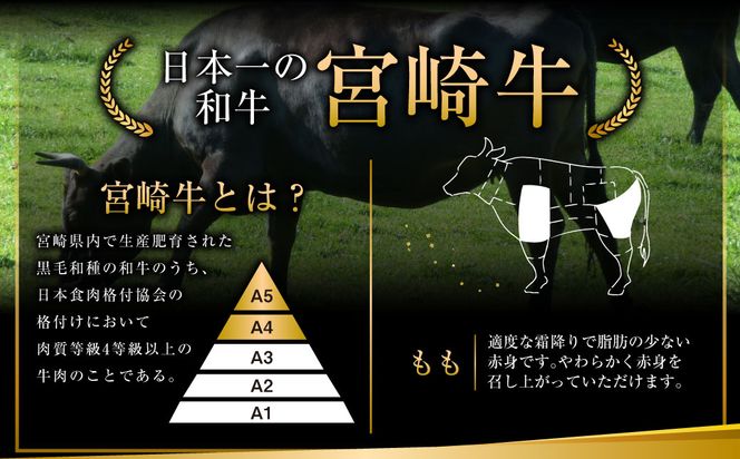 ＜みやざき和牛 焼肉用 1kg＞2026年2月上旬より順次出荷します【c437_hn_x1】