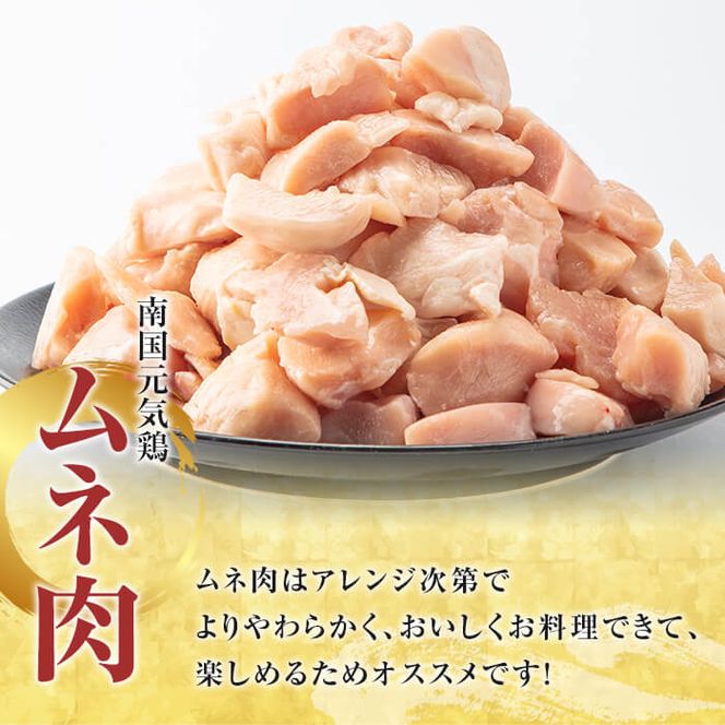 鹿児島県産！南国元気鶏Cセット(ムネ肉：計3kg・500g×6P) 国産 鹿児島県産 鶏肉 肉 お肉 ムネ肉 むね肉 胸肉 南国元気鶏 小分け 小パック【さるがく水産】a-12-319-z