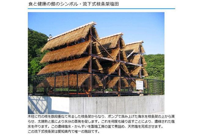 美浜の塩特産品詰め合わせ "健やか" 〇