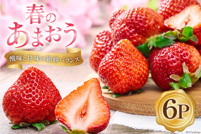 y}szyԌ蔭z  t ܂ 6pbN [썑t[c  }s 21760095]   C`S t[c ʕ Ԍ Gߌ Y Â t