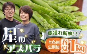 【6回定期便】【星のアスパラ】春＆夏 の グリーン アスパラガス 約1kg / アスパラ 春野菜 野菜 / 南島原市 / ほしのYA[SEY011]