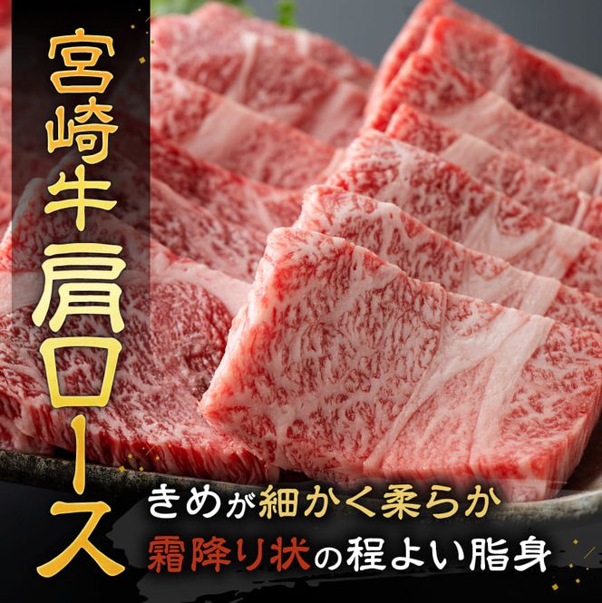 宮崎牛赤身霜降り焼肉2種 800g【肉 牛肉 国産 宮崎県産 宮崎牛 黒毛和牛 和牛 焼肉 BBQ 4等級  A4ランク 肩ロース ウデ モモ E11124】