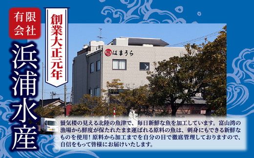 ホタルイカ素干400g（20g×20袋）：浜浦水産シェアセット　※北海道、沖縄、離島への配送不可