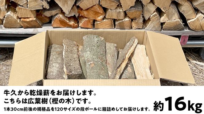 牛久市産 乾燥 薪 樫 ( かし ) 約 16kg 天然木 マキ 乾燥薪 広葉樹 キャンプ アウトドア 焚火 焚き火 薪ストーブ 暖炉 たき火 野外  屋外 バーベキュー薪 ピザ窯の薪 グリル焼 [DP007us]（茨城県牛久市） | ふるさと納税サイト「ふるさとプレミアム」