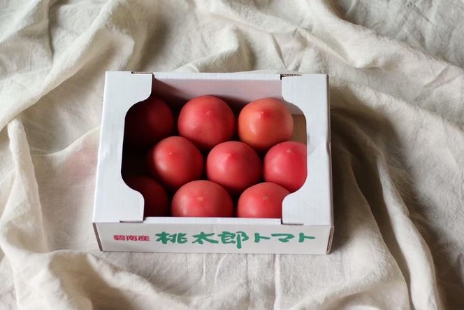 【訳あり】 この道40年の農家から直送 完熟！桃太郎トマト6～9玉　H139-019