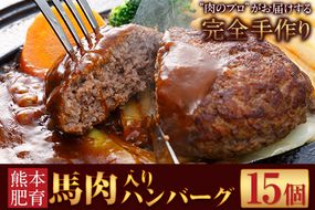 馬肉入り手作りハンバーグ(約150g×15個)　肉の宮本《45日以内に出荷予定(土日祝除く)》---sn_fmiyahamburg_45d_r7_15500_15i---