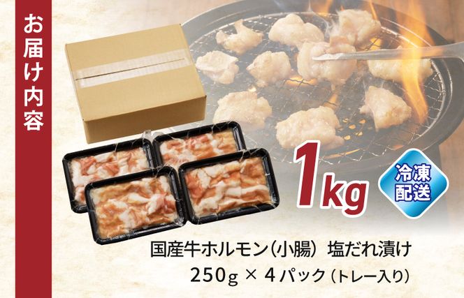 099H3869 国産 牛肉 ホルモン 1kg 塩だれ漬け 焼肉用 小分け 250g×4P【牛肉 焼肉用 焼くだけ 小分け BBQ やきにく 数量限定】