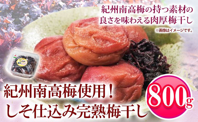 紀州南高梅使用 しそ仕込み完熟梅干し 800g 厳選館[90日以内に出荷予定(土日祝除く)]和歌山県 日高町 梅干し しそ仕込み 紀州南高梅 送料無料---wsh_gsk92_90d_25_15000_1p---