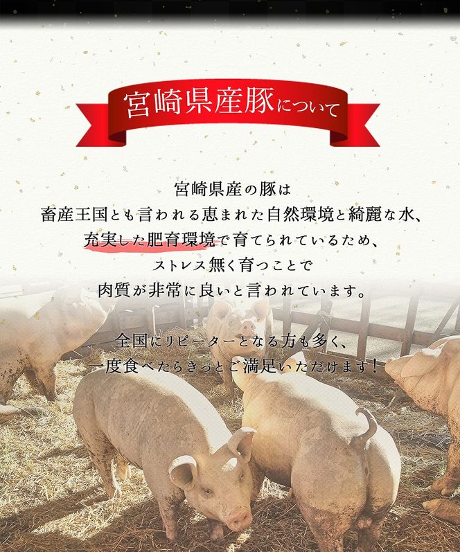宮崎県産豚ロースしゃぶしゃぶ用 3kg 6回定期便　N0136-B614