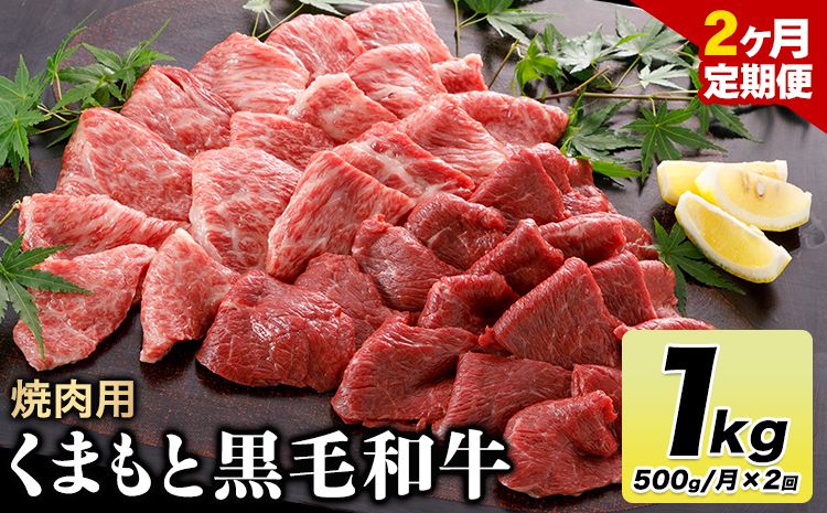 [2ヶ月定期便]牛肉 くまもと黒毛和牛 焼肉用 500g 計1kg 長洲501[お申込み月翌月以降の出荷月から出荷開始]定期便 計2回お届け---sn_f501kwyktei_23_34000_mo2num1---