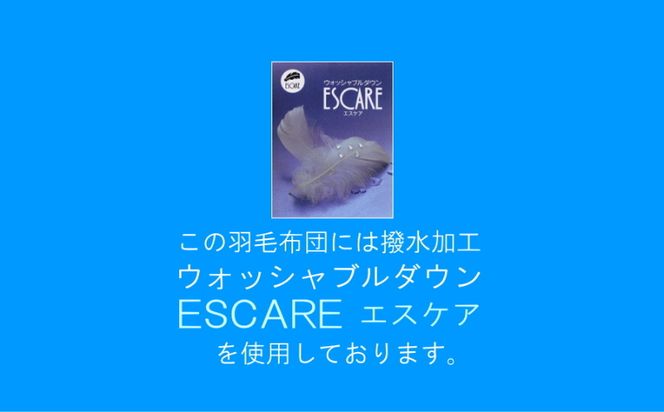 AM025 【セミダブル】洗濯機で洗える2枚合わせ羽毛ふとん【新津】｜合い掛け　肌掛け　オールシーズン