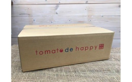 1月～6月毎月発送　プレミアムフルーツトマトの定期便　約700g×6回コース　H004-171