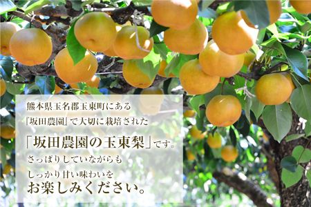 『坂田農園』の玉東梨 約3kg《8月中旬-9月末頃出荷》 熊本県玉名郡玉東町産『坂田農園』なし 果物 スイーツ フルーツ デザート スムージー 熊本県玉東町---sg_csakatanashi_bc8_r8_12000_3kg---