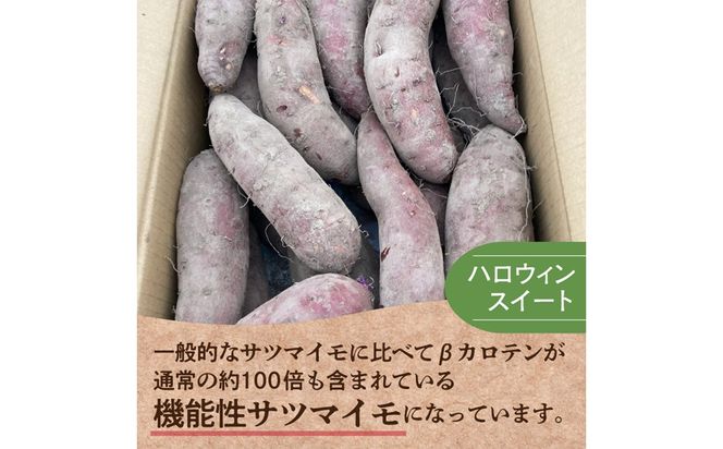 【予約：2025年10月下旬から順次発送】北の果てのサツマイモ ハロウィンスイート ※土付き ( 北海道 野菜 芋 さつま芋 さつまいも サツマイモ 期間限定 数量限定 )【133-0001-2025】