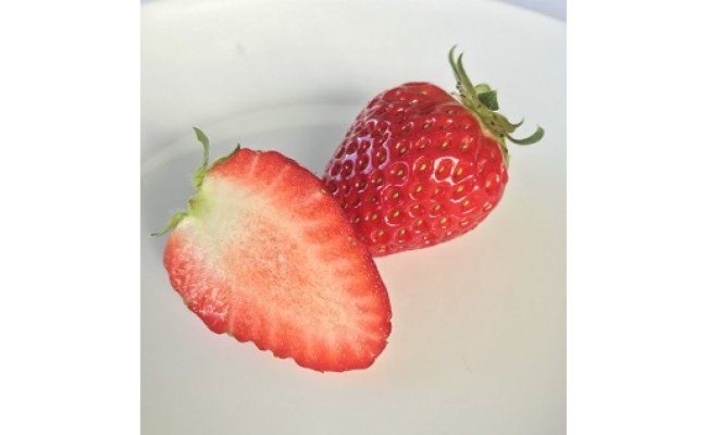 155.季節限定 まりひめプレミアム「毬姫様」(A155-2)