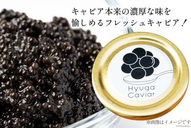 キャビア 日向キャビア (Hyuga Caviar) 10g 桐箱入り [ウィズ・クリエイティブ 宮崎県 日向市 452060890] 冷凍 宮崎 国産 チョウザメ フレッシュ 瓶